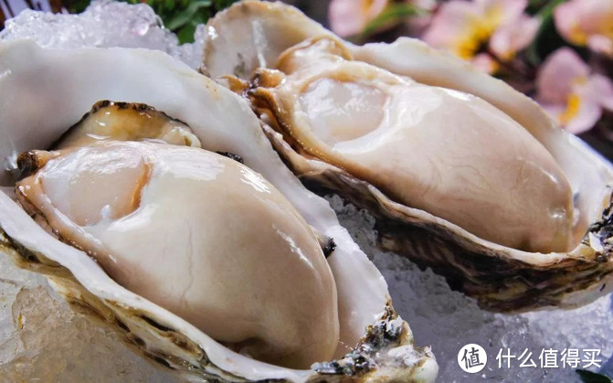 （（我国的广东、青岛、海南和福建等沿海城市大部分居民都掌握了海鲜养殖，这也使得海鲜丰富且价格便宜了许多）