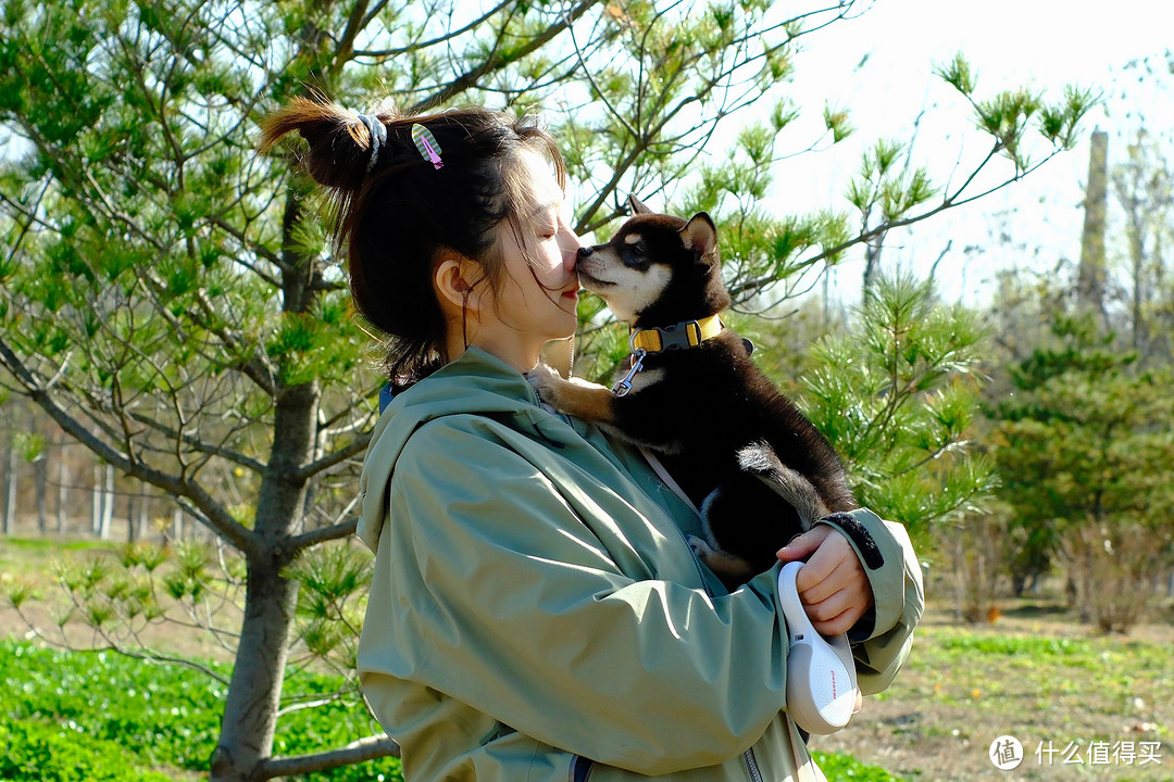孕期养黑柴简直太快乐啦!养狗半月经验交流分享